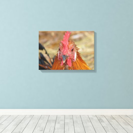 Phoenix Rooster Leinwanddruck (Insitu (Holzboden))