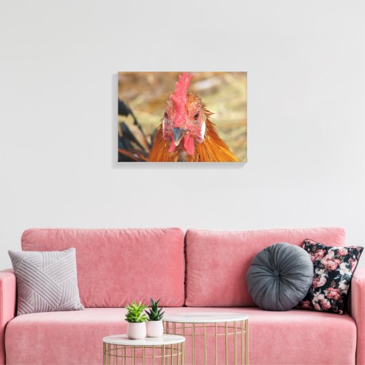 Phoenix Rooster Leinwanddruck (Insitu (Wohnzimmer))
