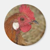 Phoenix Rooster Magnet (Vorne)