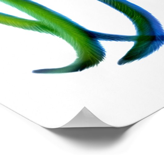 Phoenix Rooster Print Poster (Ecke)