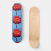 Phoenix-Rose im Skateboard (Vorderseite)