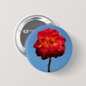 Phoenix-Rose im Sky-Button Button (Vorne & Hinten)