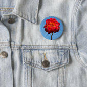 Phoenix-Rose im Sky-Button Button (Beispiel)