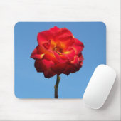 Phoenix-Rose in der Sky-Mousepad Mousepad (Mit Mouse)