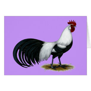 Phoenix:  Silberner Duckwing Hahn