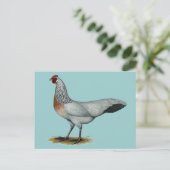 Phoenix: Silver Duckwing Hen Postkarte (Stehend Vorderseite)