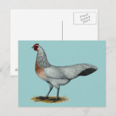 Phoenix: Silver Duckwing Hen Postkarte (Vorne/Hinten)