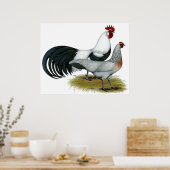 Phoenix: Silver Duckwing Pair Poster (Küche)