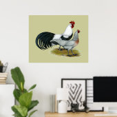 Phoenix: Silver Duckwing Pair Poster (Heimbüro)