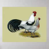 Phoenix: Silver Duckwing Pair Poster (Vorne)