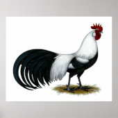 Phoenix: Silver Duckwing Rooster Poster (Vorne)
