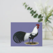 Phoenix: Silver Duckwing Rooster Postkarte (Stehend Vorderseite)