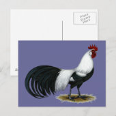 Phoenix: Silver Duckwing Rooster Postkarte (Vorne/Hinten)