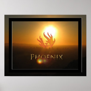 Phoenix-Steigen Poster