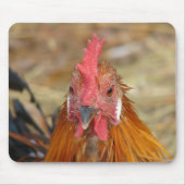 Phoenix stellt die Kamera nach unten Mousepad (Vorne)