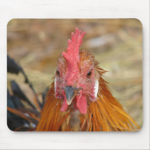 Phoenix stellt die Kamera nach unten Mousepad