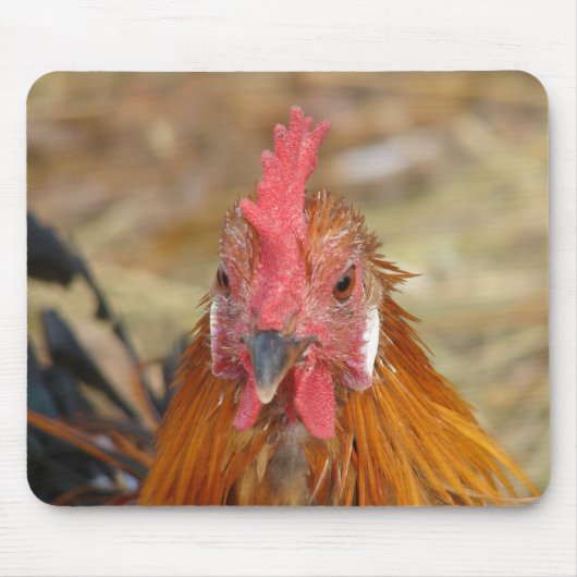 Phoenix stellt die Kamera nach unten Mousepad (Vorne)