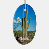 Phoenix, Tucson, Mesa, Scottsdale, Goodyear Keramikornament (Rechts)