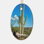 Phoenix, Tucson, Mesa, Scottsdale, Goodyear Keramikornament (Links)