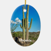 Phoenix, Tucson, Mesa, Scottsdale, Goodyear Keramikornament (Vorne)