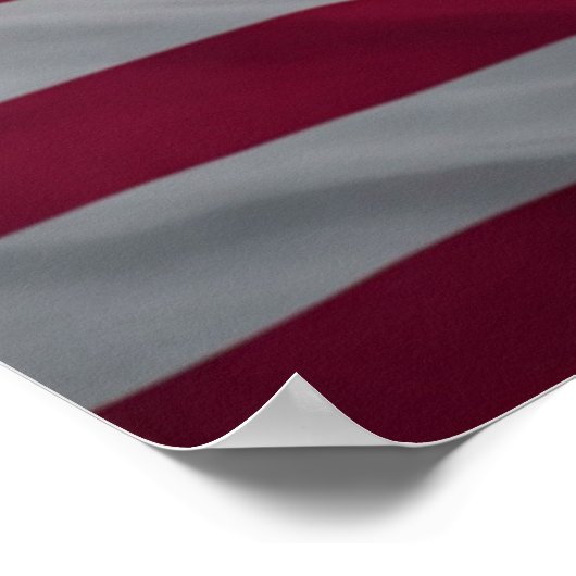 Phoenix und die Flagge Poster (Ecke)