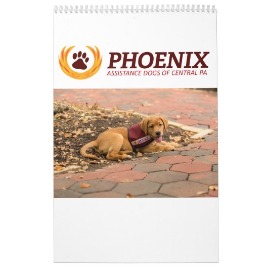 Phoenix-Unterstützung verfolgt Kalender (Titelbild)