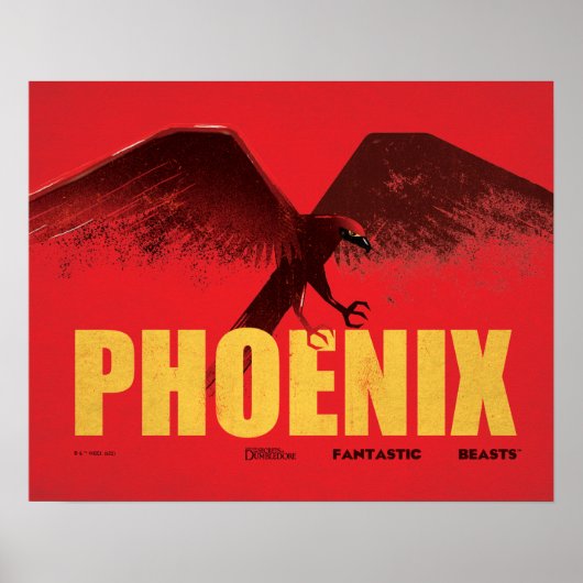 Phoenix Vingate Graphic Poster (Vorne)