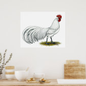 Phoenix: Weißer Rooster Poster (Küche)