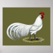 Phoenix: Weißer Rooster Poster (Vorne)