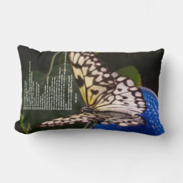 Phoenixkissen Lendenkissen