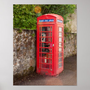 Phonebooth Poster
