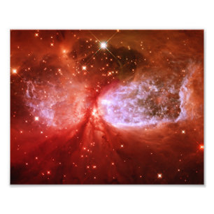 Phönix Fotodruck