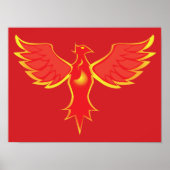 Phönix Poster (Vorne)