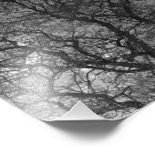 Photo Enlargement Fotodruck (Ecke)