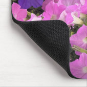 Photo Image Of Morning Glory Pink & Purple Flowers Mousepad (Ecke)