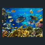 Photo of a tropical Fish on a coral reef Poster<br><div class="desc">Photo of a tropical Fish on a coral reef © and ® Bigstock® - All Rights Reserved.</div>
