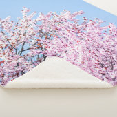 PHOTO OF CHERRY BLOSSOM TREE SHERPADECKE (3/4)