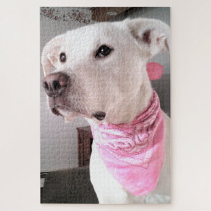 Photo of Cute White Puppy Dog Wearing Pink Scarf Puzzle