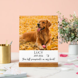 Photo Pet Memorial Dog Loss Keepsake Gift Acrylschild