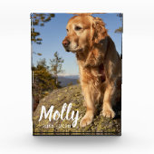 Photo Pet Memorial Plaque Dog Loss Keepsake Gift Fotoblock (Vorderseite)