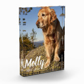 Photo Pet Memorial Plaque Dog Loss Keepsake Gift Fotoblock (Links)