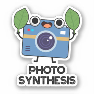 Photo Synthesis Funny Camera Pun Aufkleber