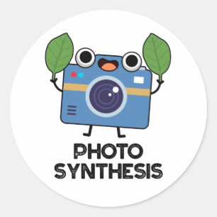 Photo Synthesis Funny Camera Pun Runder Aufkleber