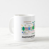 Photoautotrophile Fotosynthese Kaffeetasse (Vorderseite Links)