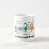 Photoautotrophile Fotosynthese Kaffeetasse (Mittel)