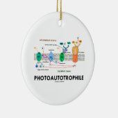 Photoautotrophile Fotosynthese Keramik Ornament (Rechts)