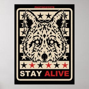 Photocoyote poster 2014 1