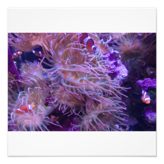 Photograph #Y008 on LARGE Photograph Fotodruck