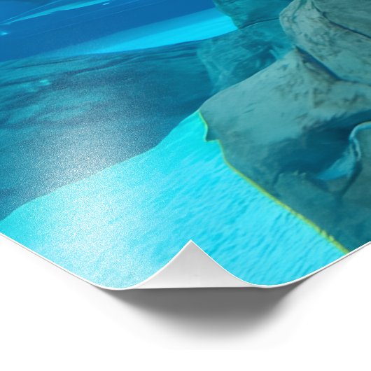 Photograph #Y044 on MEDIUM SIZE Poster (Ecke)