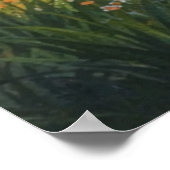 Photographic Landscape Art Edited (Better Quality) Poster (Ecke)